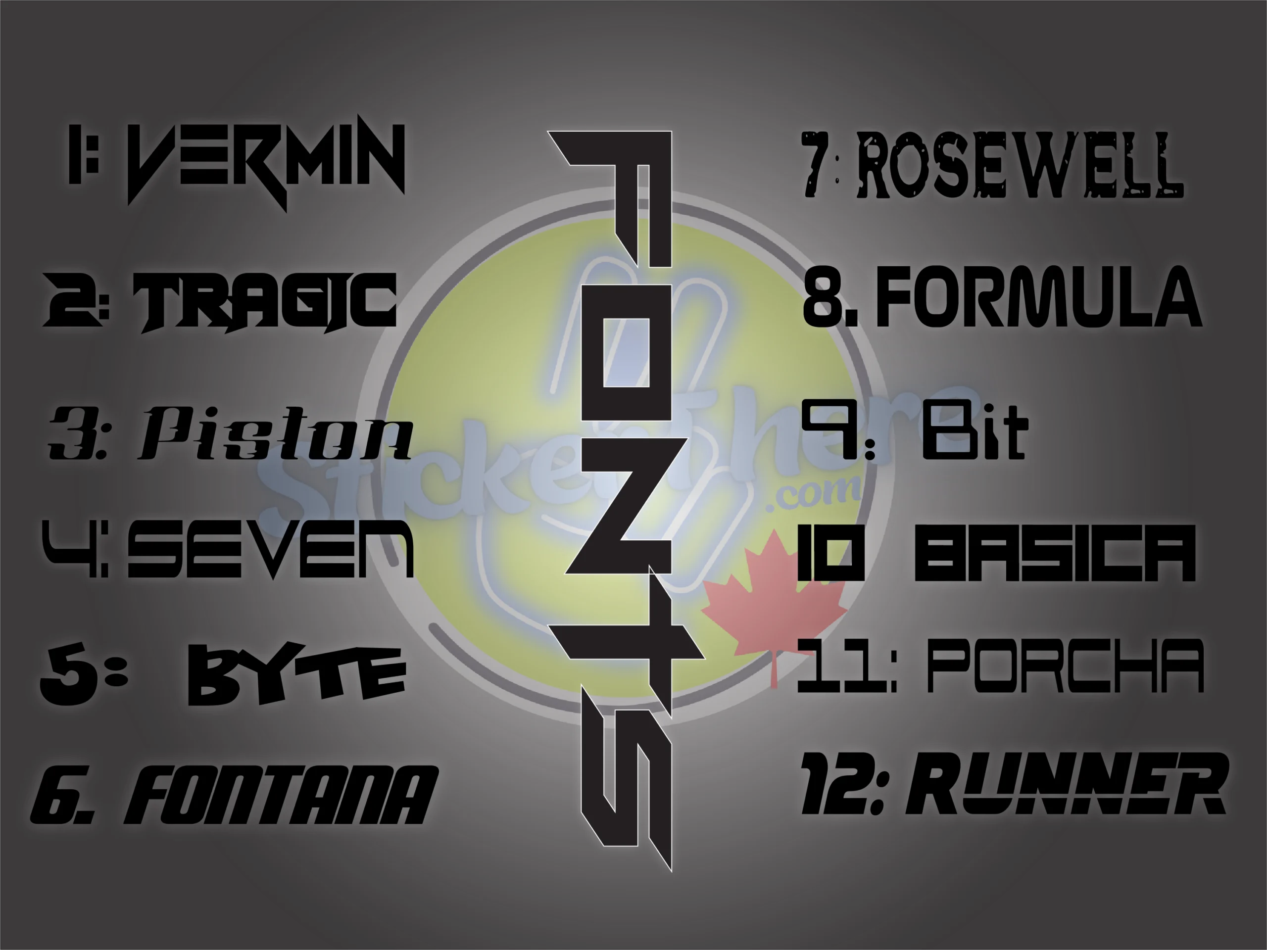 12" customized motorcycle visor sun strip 12" customized motorcycle visor sun strip